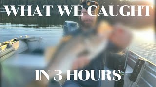 Fishing Batemans Bay in 3 Hours  What Can We Catch Vlog [upl. by Raphaela]