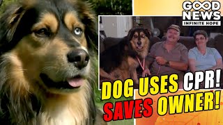 HERO DOG uses CPR to save owners LIFE [upl. by Suneya]