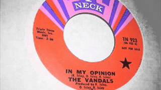 In My OpinionThe Vandals1969 [upl. by Dragde693]