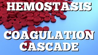 Secondary Hemostasis Coagulation Cascade Animation Made Easy [upl. by Athalee]