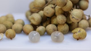 How to eat Longan fruit  What does Longan Taste like [upl. by Narib]