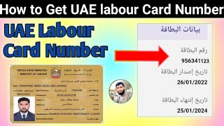 How To Get UAE Labour Card Number Online From MOHRE App [upl. by Adair]