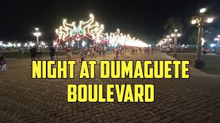 Dumaguete Boulevard at Night [upl. by Neryt]