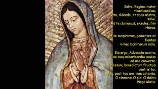 Gregorian Chant  Salve Regina Latin Lyrics [upl. by Dnalon]