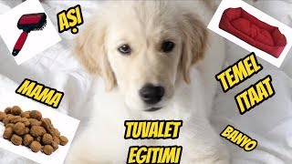 KÖPEK SAHİPLENME EĞİTİMİ VE BAKIMI 2 [upl. by Cowen]