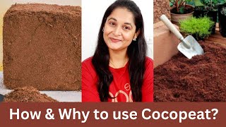 How to use coco peat in gardening  What is Coco Peat  Benefits of Coco Peat  cocopeat gardening [upl. by Enhpad771]