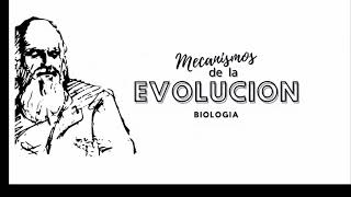 Mecanismos de la Evolución [upl. by Maribelle]