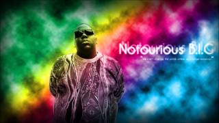 The Notorious BIG  Skys The Limit HQ CCLyrics [upl. by Dnaltruoc]