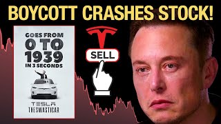 Worldwide Elon Musk Backlash CRASHING Tesla Stock [upl. by Aekerly]