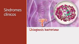 CLASE Bac Gram Positivos Gardnerella [upl. by Mack]