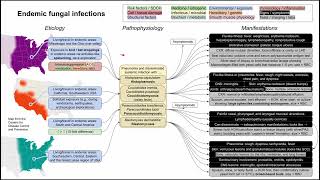 Endemic fungal infections Histoplasmosis ParaCoccidioidomycosis Blasto mechanism of disease [upl. by Rip]