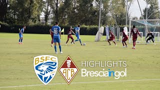 AMICHEVOLE  BRESCIABELLINZONA 11  HIGHLIGHTS [upl. by Nappie]