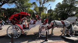 Central Park Carriage Ride  New York [upl. by Ita]