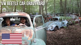 URBEX  Volkswagen Beetle T1 amp T2 graveyard  2017 [upl. by Alywt]