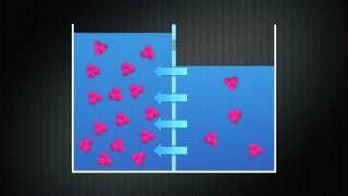 Diffusion Osmosis and Tonicity [upl. by Llennhoj]