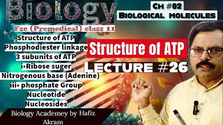 Structure of ATP  Phosphodiester Linkage NAD Biology class 11 Biomolecules ch 2 in URDU\Hindi [upl. by Qooraf977]