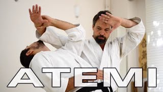 Aikido Atemi 当身 and Pressure Points  Striking Techniques and Kyusho  Gyakuhanmi Katatedori [upl. by Ahseinar]