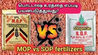 பொட்டாஷ் MOP vs SOP உரங்களின் பயன்கள்  MOP VS SOP FERTILIZER  TAMIL  vivasayapokkisham [upl. by Lambrecht]