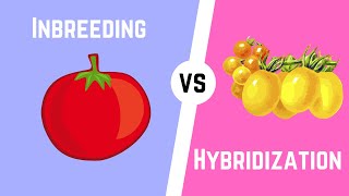 Hybridization vs Inbreeding [upl. by Fulton]