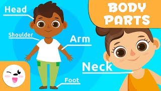 Parts of the head  The Human Body for kids  Vocabulary [upl. by Indihar]