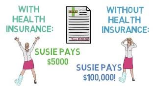 Health Insurance 101 The Basics Health Insurance 13 [upl. by Nosniv336]