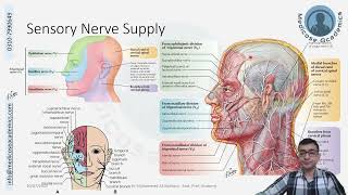 Innervation of Face [upl. by Anada]