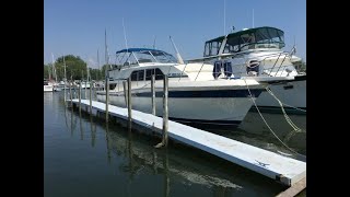 1985 Chris Craft 381 Catalina Asking 45000 [upl. by Gaves]