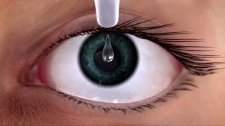 Systane® Ultra Lubricant eye drops mode of action video [upl. by Ecyor562]