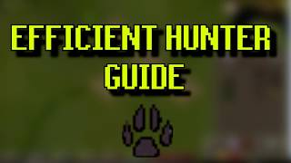 Efficient Red Chinchompa Hunter Guide 185k XPHr [upl. by Adigun]