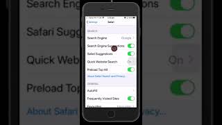 Safari Settings [upl. by Hyozo]