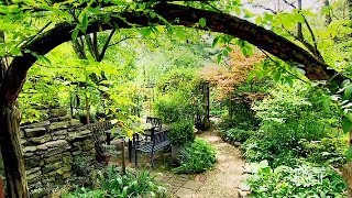 Colorful Woodland Garden Berea USA [upl. by Cchaddie49]