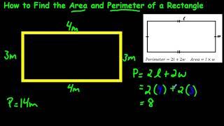 How to Find the Area and Perimeter of a Rectangle [upl. by Sadnalor]