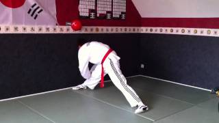 exercices dassouplissements Taekwondo [upl. by Ario]