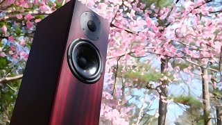 Totem Acoustic Hawk Review [upl. by Ximena472]