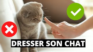 Tuto  Comment dresser son chat [upl. by Refinaj]