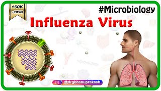 Influenza Virus Microbiology Animation [upl. by Siger]