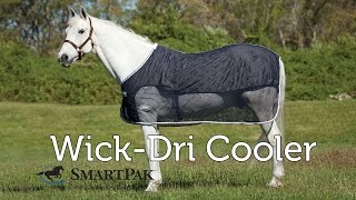 WickDri Cooler Review [upl. by Roy506]