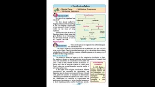 Lesson No6 Classification of plants Std9 General Science [upl. by Lareine947]