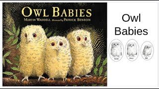 Owl Babies a story read for children [upl. by Pimbley]