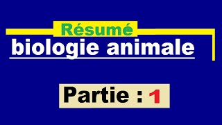 Résumé de biologie animale  1 [upl. by Anyad390]