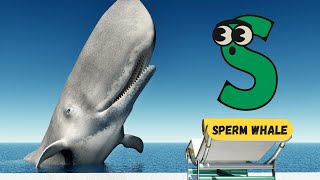 Ocean Giants ABC Song  Shark Whale Dolphin  Alphabet Song for Kids  abcd kids learning [upl. by Ellehsyt]