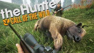 The Hunter Call Of The Wild  A FULL DAY OF HUNTING [upl. by Charteris]