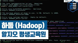 하둡 Hadoop 강의 소개 [upl. by Steffin]