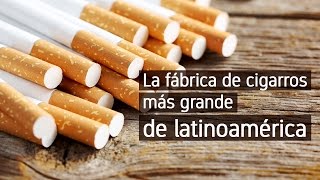 La fábrica de cigarros más grande de Latinoamérica [upl. by Legim253]