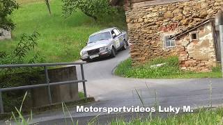 Rallye Weiz 2019 Malms Motorsport [upl. by Nishom238]