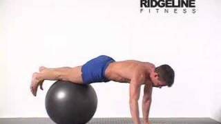 15 Swiss Ball Push Up [upl. by Vierno]