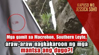 Mga gamit sa Southern Leyte arawaraw nagkakaroon ng mga mantsa ng dugo  Kapuso Mo Jessica Soho [upl. by Brill]