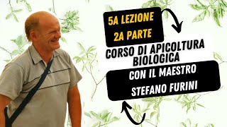 15  CORSO DI APICOLTURA BIOLOGICA  Asphodel Honey  con il maestro Stefano Furini Lezione 5 Parte2 [upl. by Rehtaeh60]