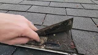 Roof leaking behind gutter into the Soffit [upl. by Adnilrev881]