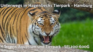 Unterwegs im Tierpark Hagenbeck in Hamburg  Impressionen aus dem TropenAquarium und dem Tierpark [upl. by Gnoix886]